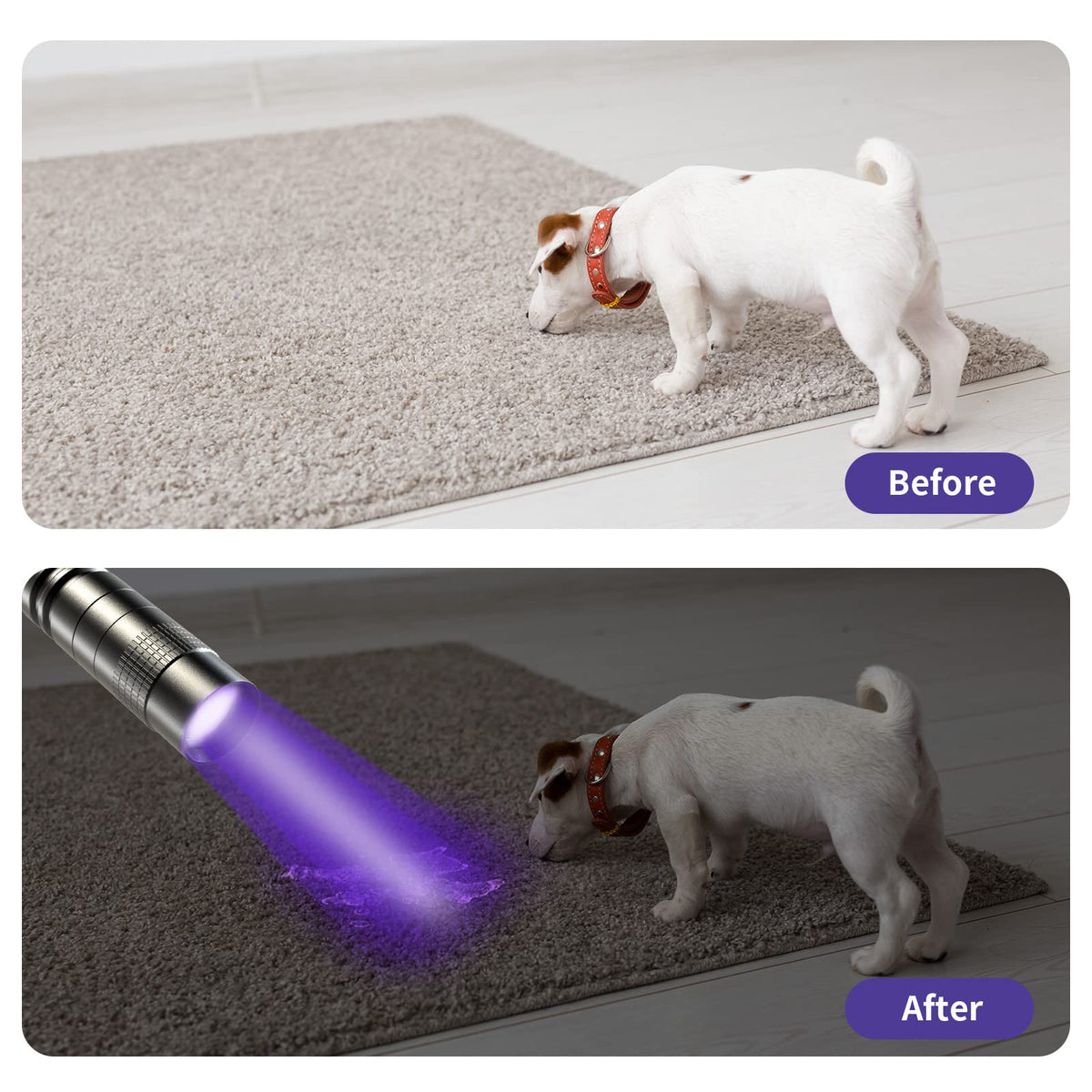 2 UV Black Light Flashlight (Black / 2 Pack)