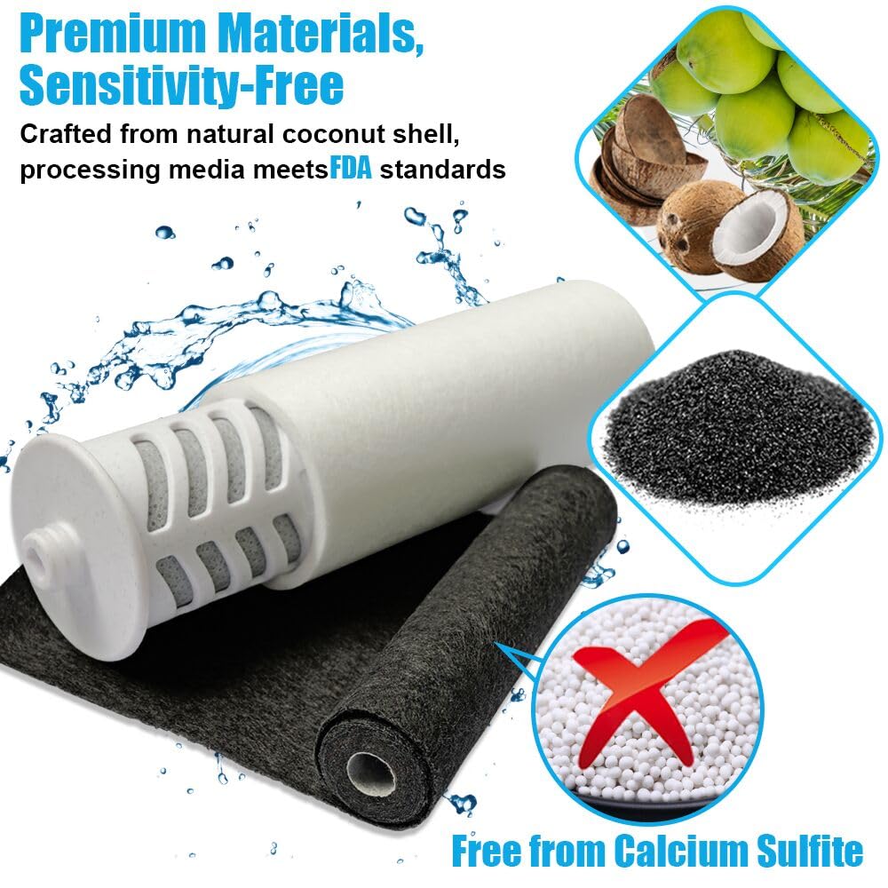 Shower Filter System