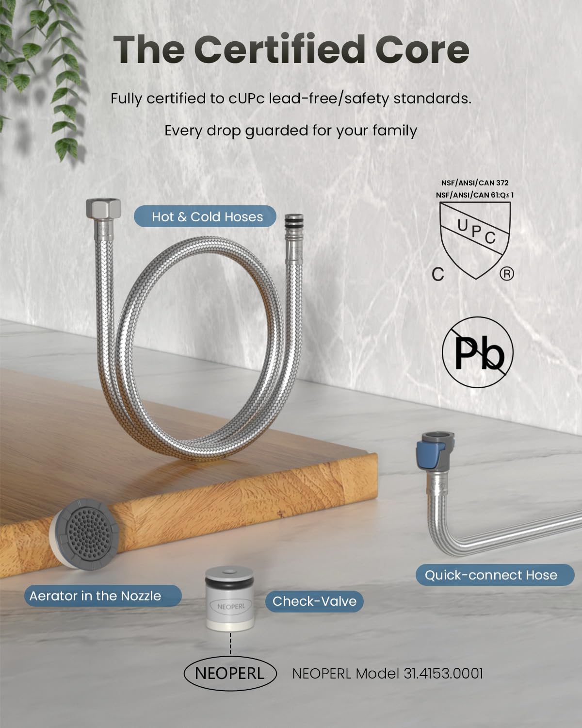 Black Kitchen Faucet with Water Filter (Black Matte)