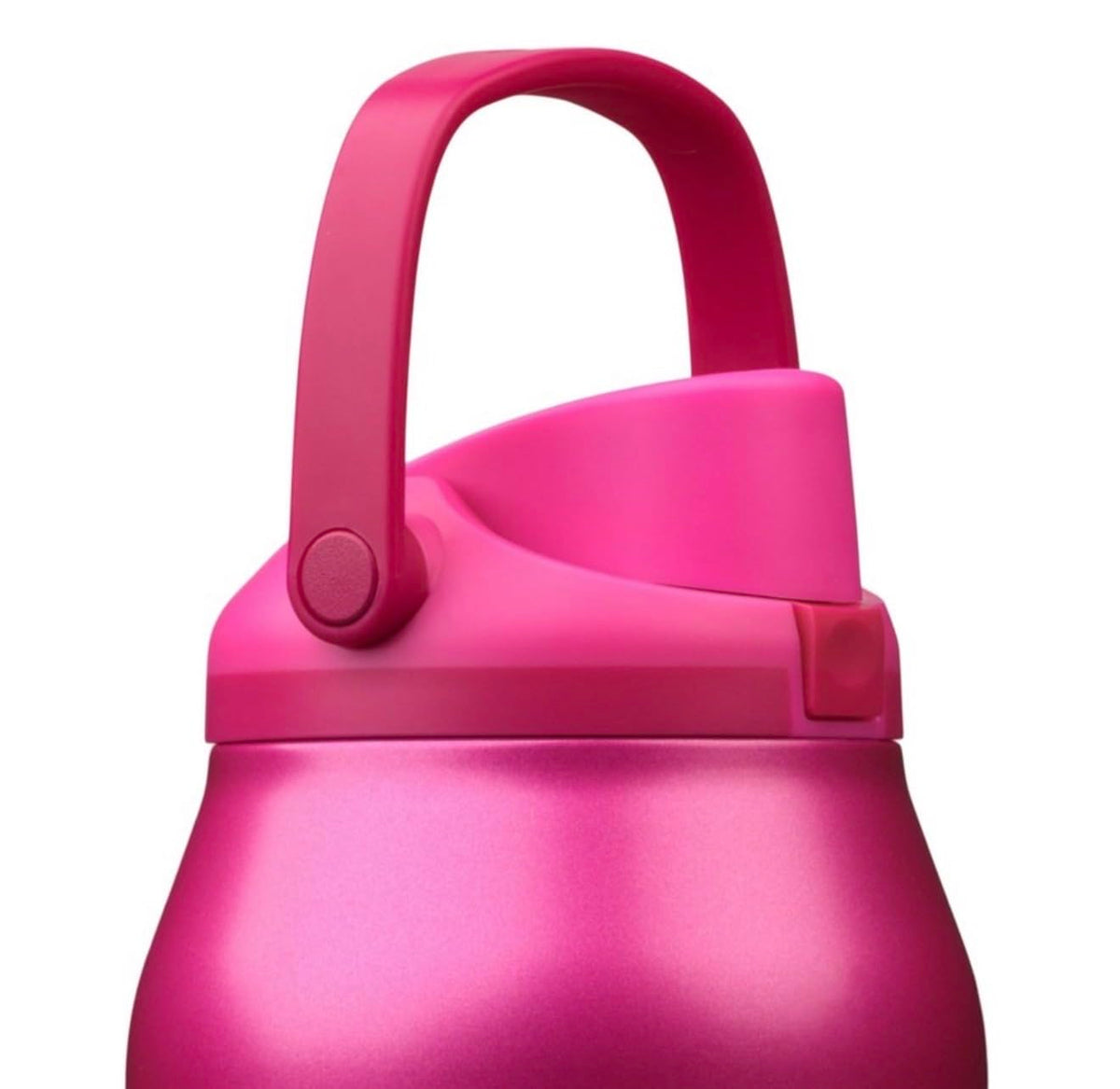 FreeSip Sway Stainless Steel Water Bottle (Read My Lips)