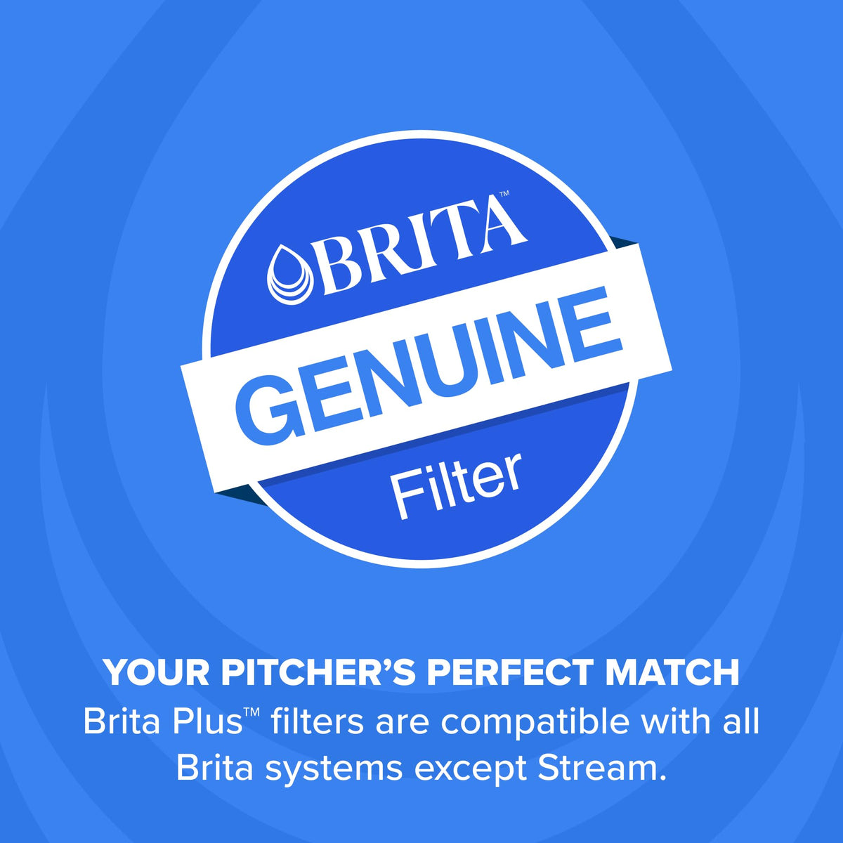 Plus Replacement Water Filter (Plus / 3)