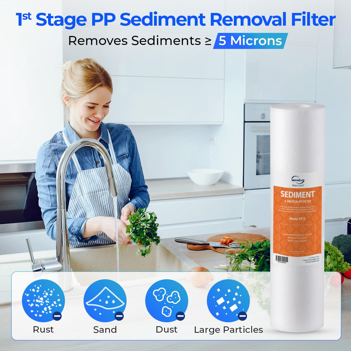 F19K75 NSF Certified 2 (2-Year RO Filter w/AK Set)
