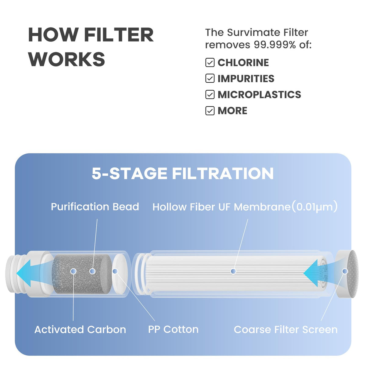 Replacement Filter for Filtered Water Bottle with 5 (Regular 1 / White)