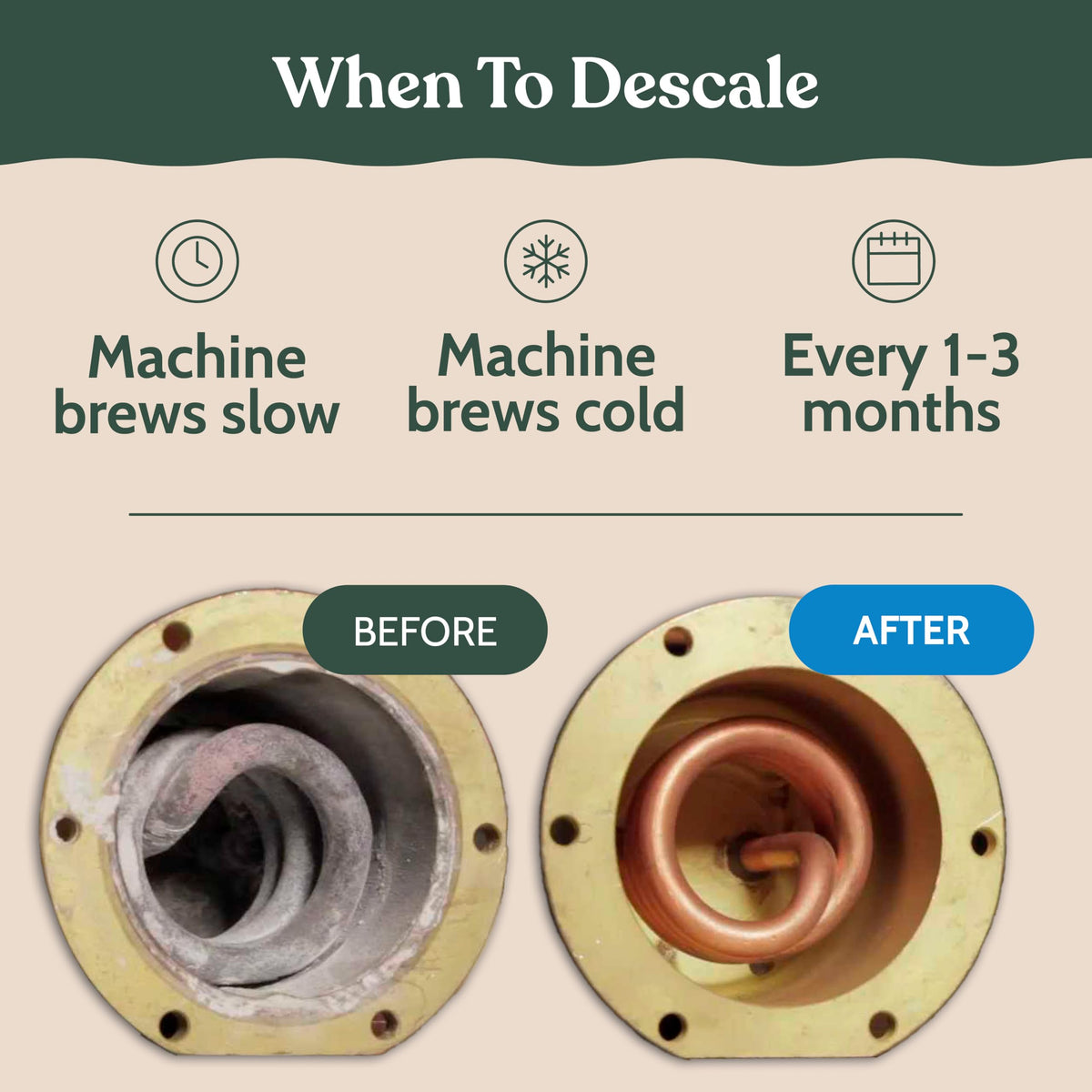 Philips Compatible Descaling Solution & Cleaner (Descaling Solution)