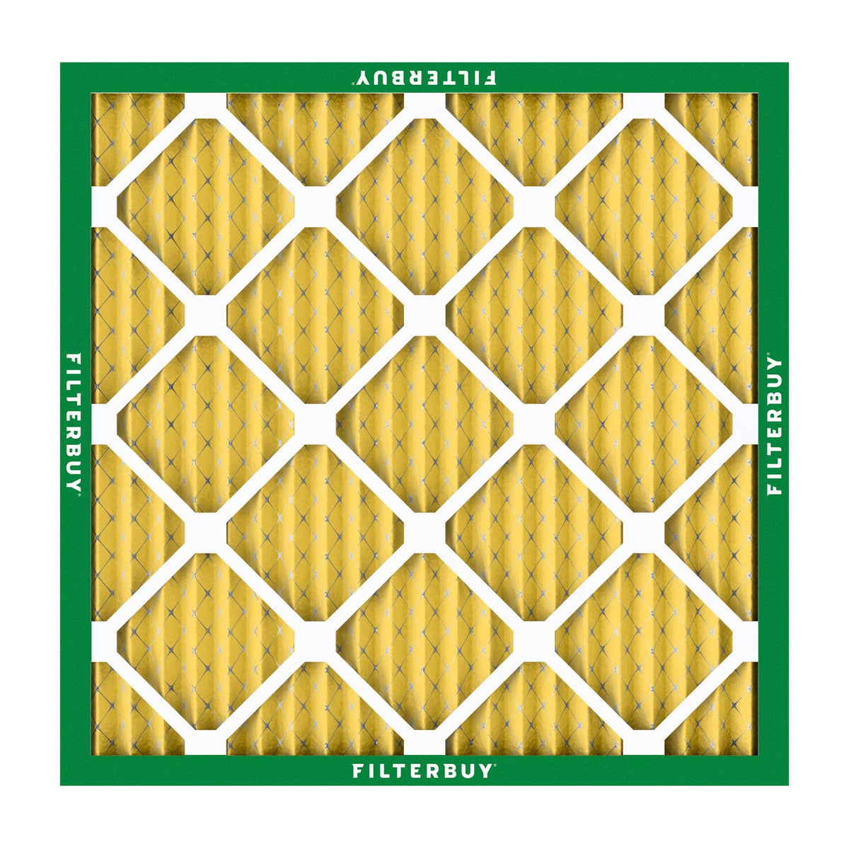 29x29x1 Air Filter MERV 11 Pet & Allergy Defense (29x29x1)