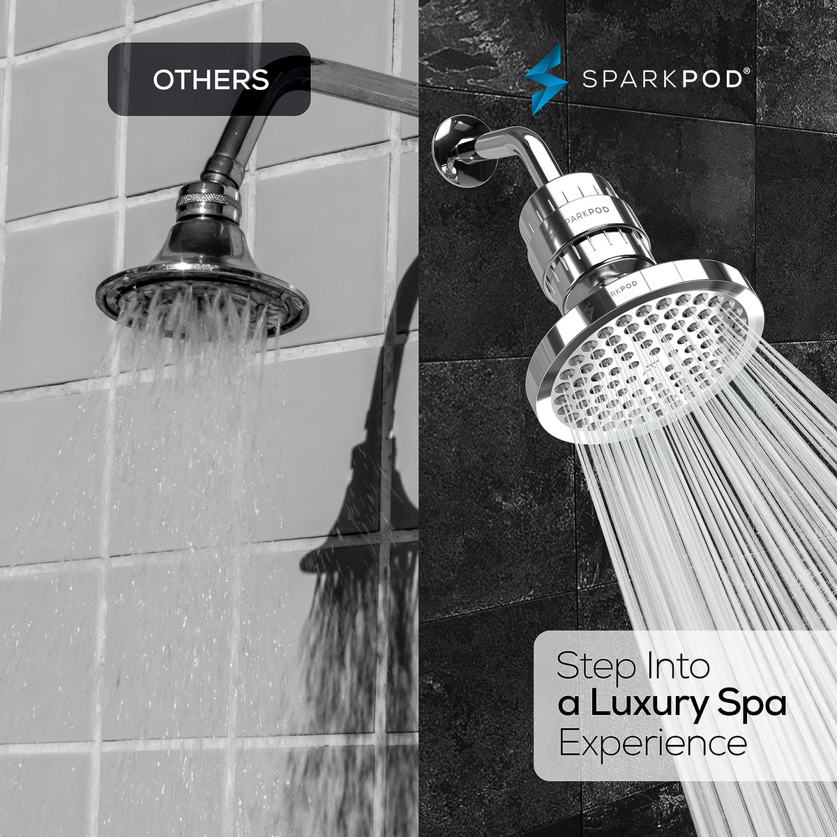Filtered Shower Head (1. Luxury Polished Chrome)