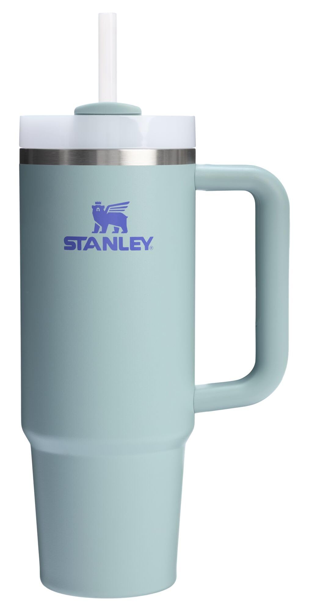 Quencher H2.0 Flow State Tumbler (30 Ounces / Blue Cactus)