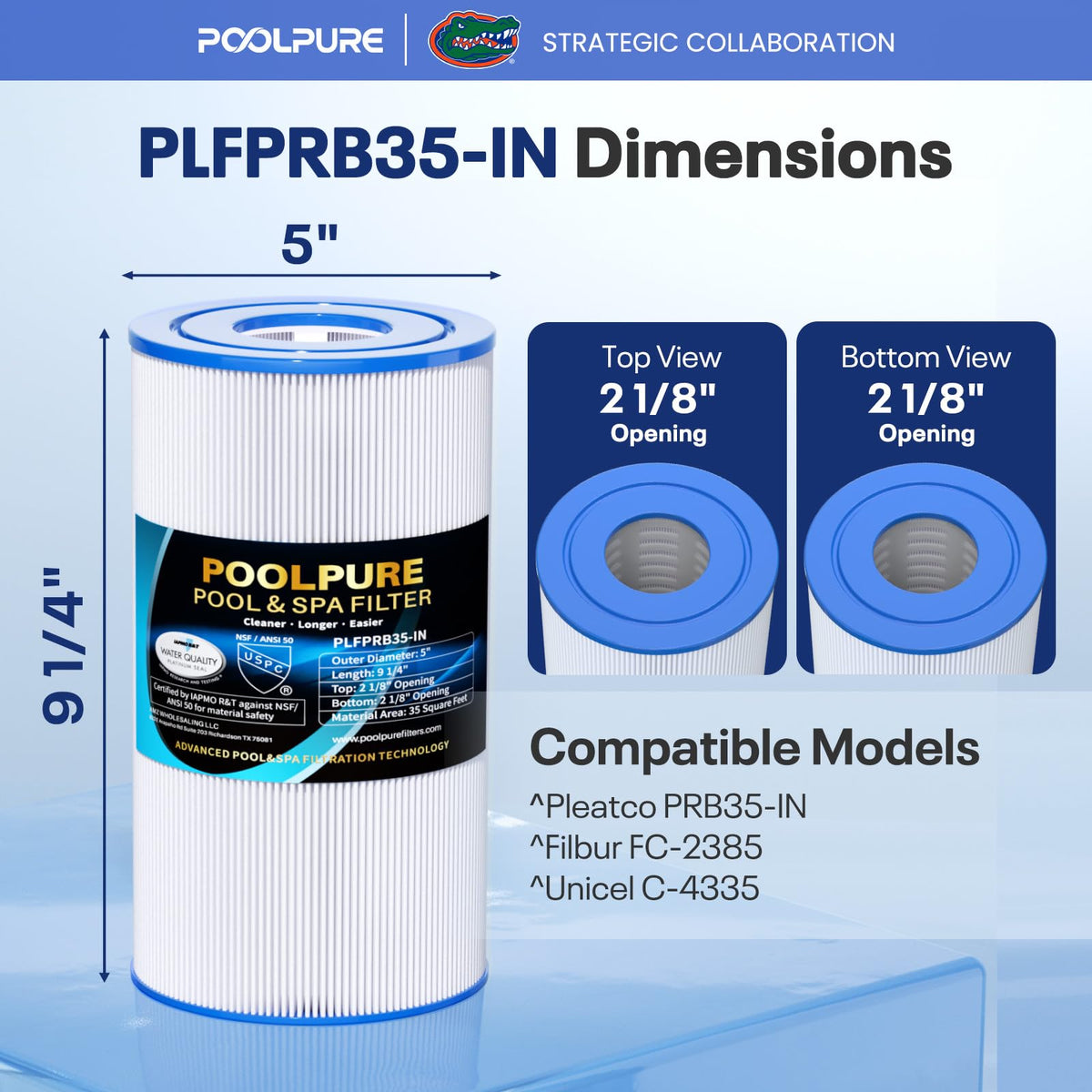 PRB35 IN Spa Filter Replaces Unicel C (Standard)