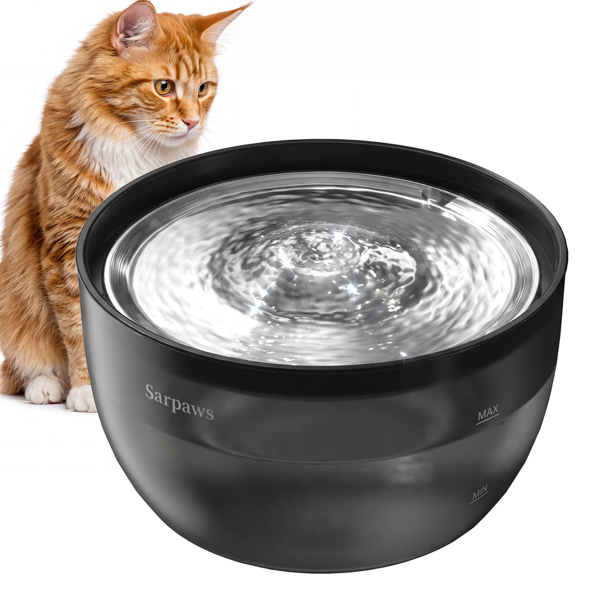 Cat Water Fountain