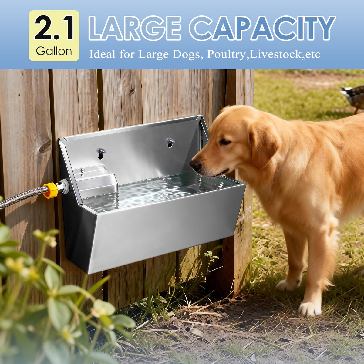 Dog Water Bowl Dispenser Stainless Steel