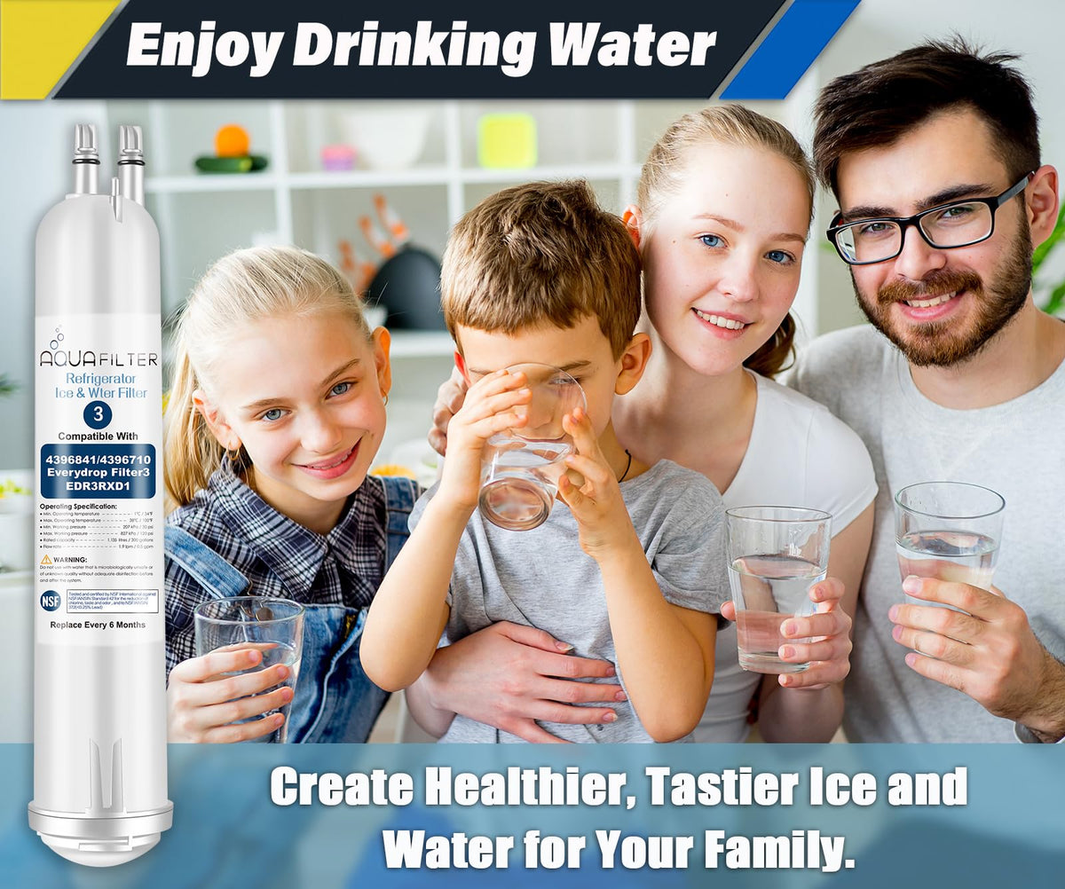 FILTER3 4396841 Refrigerator Water Filter Replacement Compatible with 4396841 4396710 EDR3RXD1 EDR3RXD1B Filter 3 P1WB2 P2RFWG2