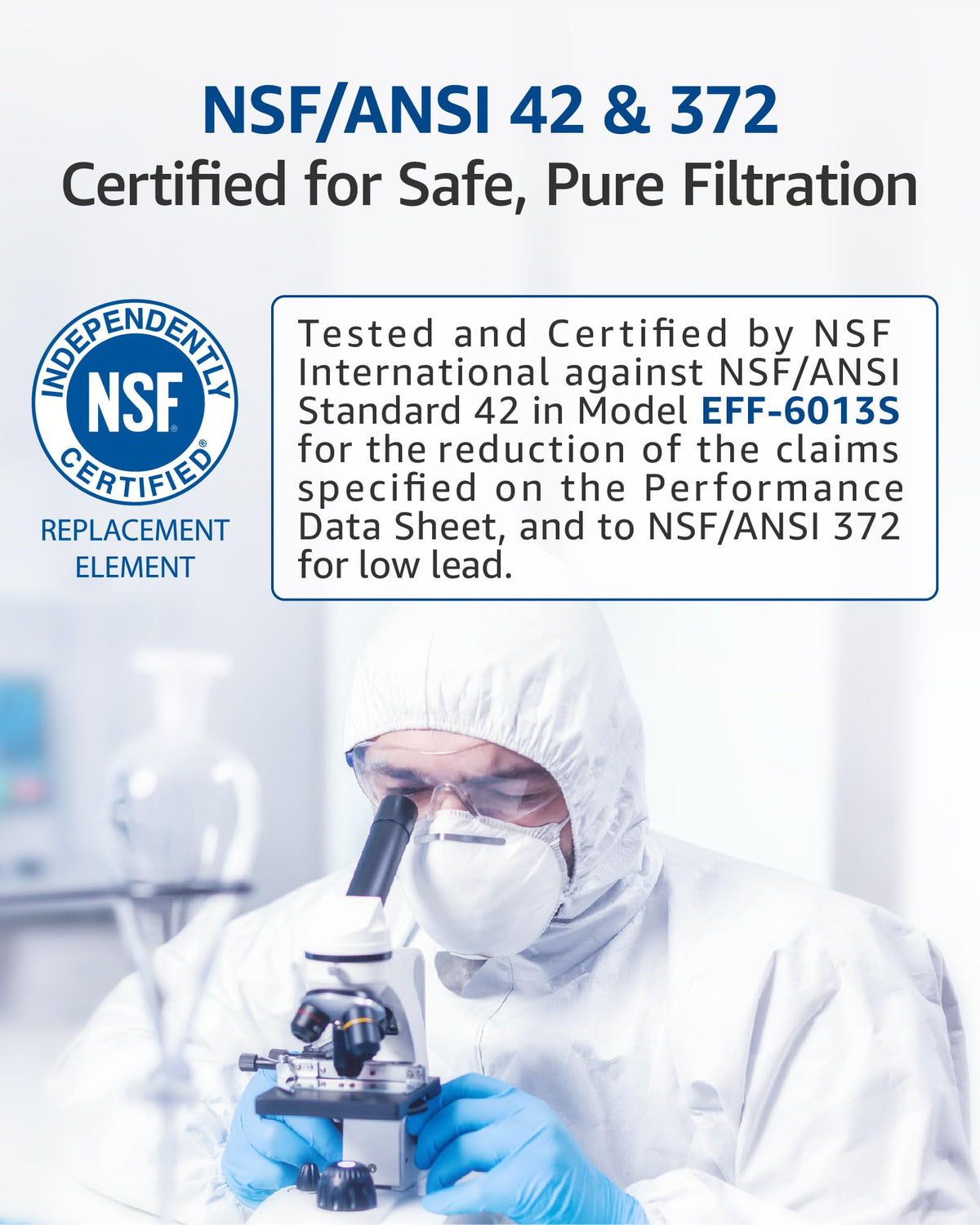 WS613B Water Filter (2 Count (Pack of 1))