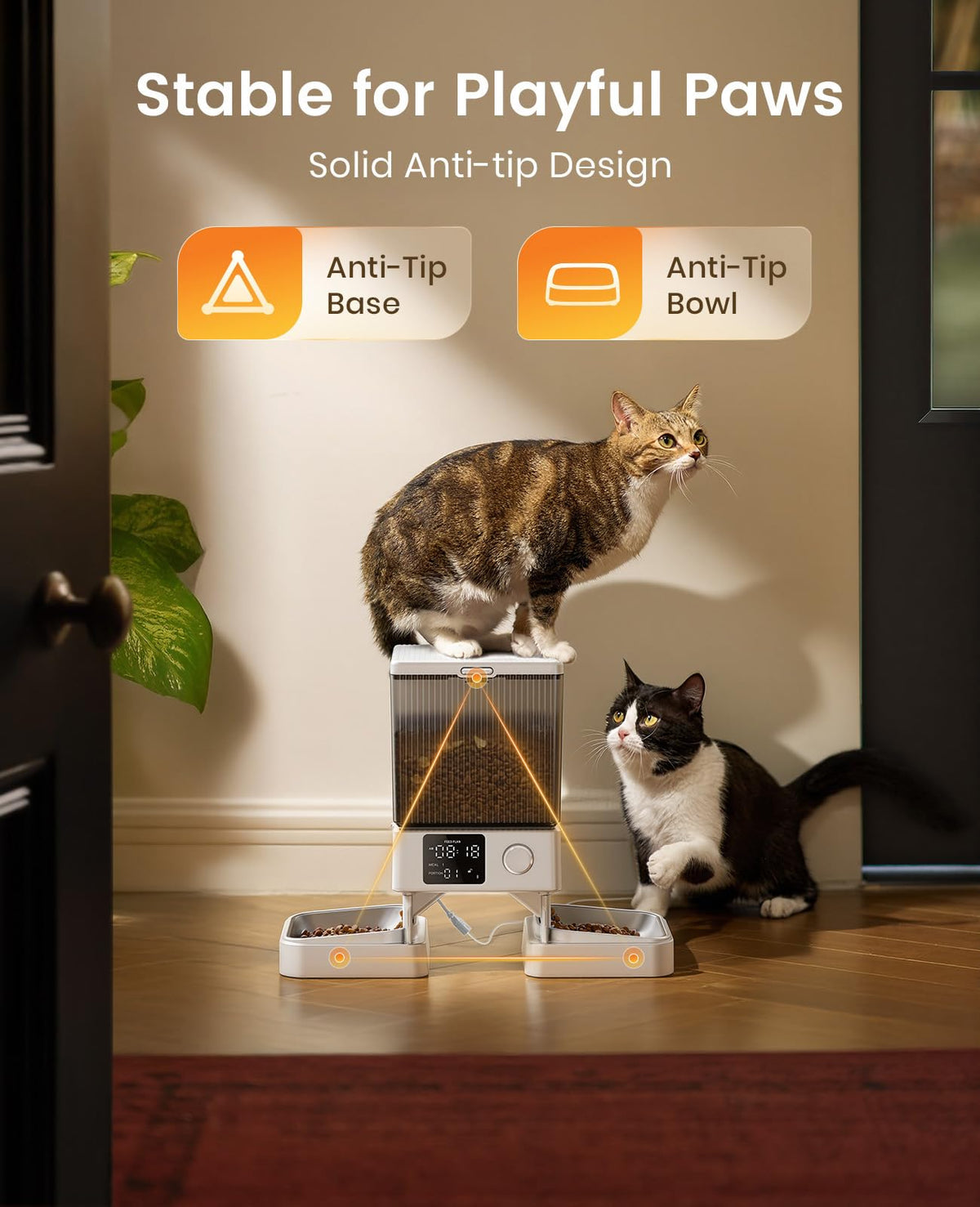 Automatic Cat Feeder for 2 Cats Pets (White)