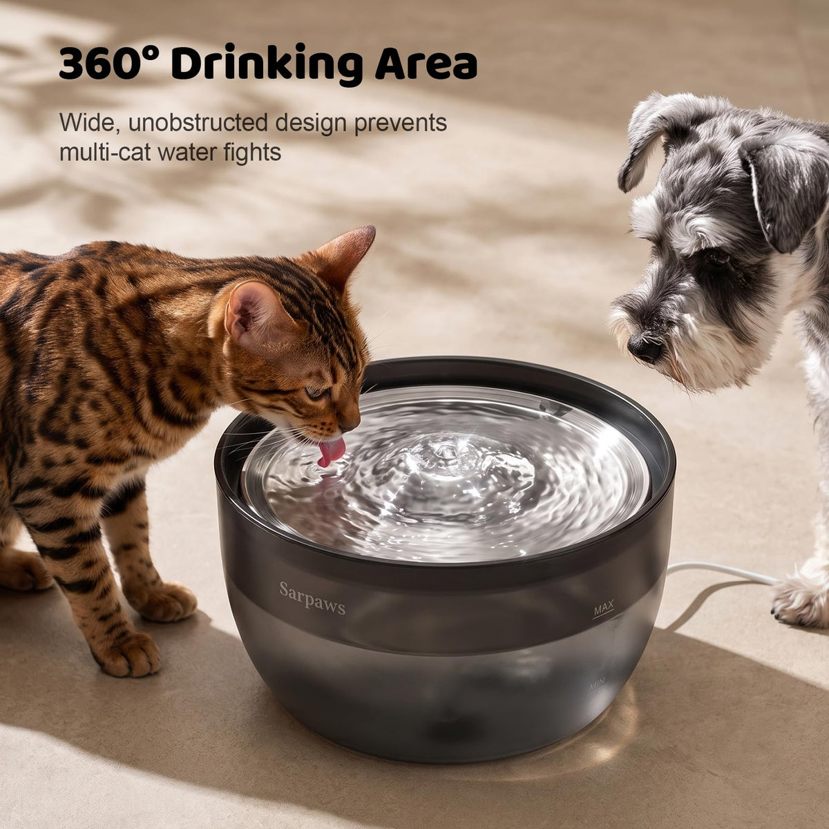 Cat Water Fountain