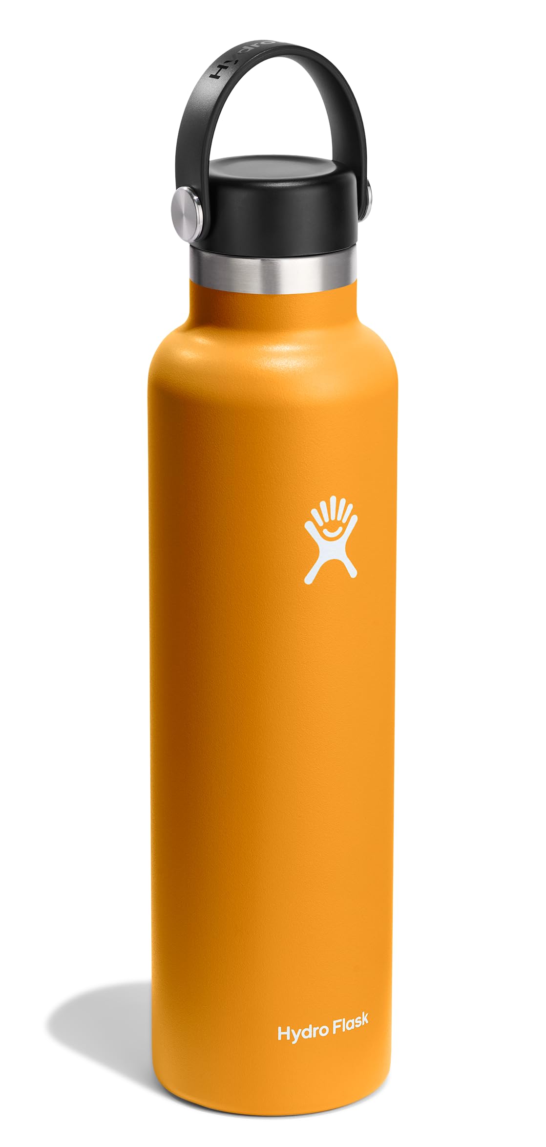 Water Bottle Insulated Stainless Steel (24 Oz / FOSSIL)