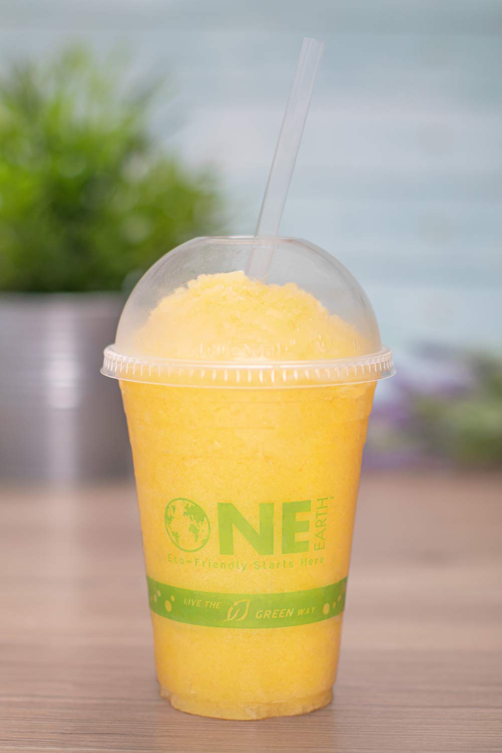 1,000 ct - 16 oz] Compostable PLA Plastic Cups, BPI Certified Disposable Renewable Cold Cups for Iced Coffee, Smoothies, and More | Green Line (16 Ounces)