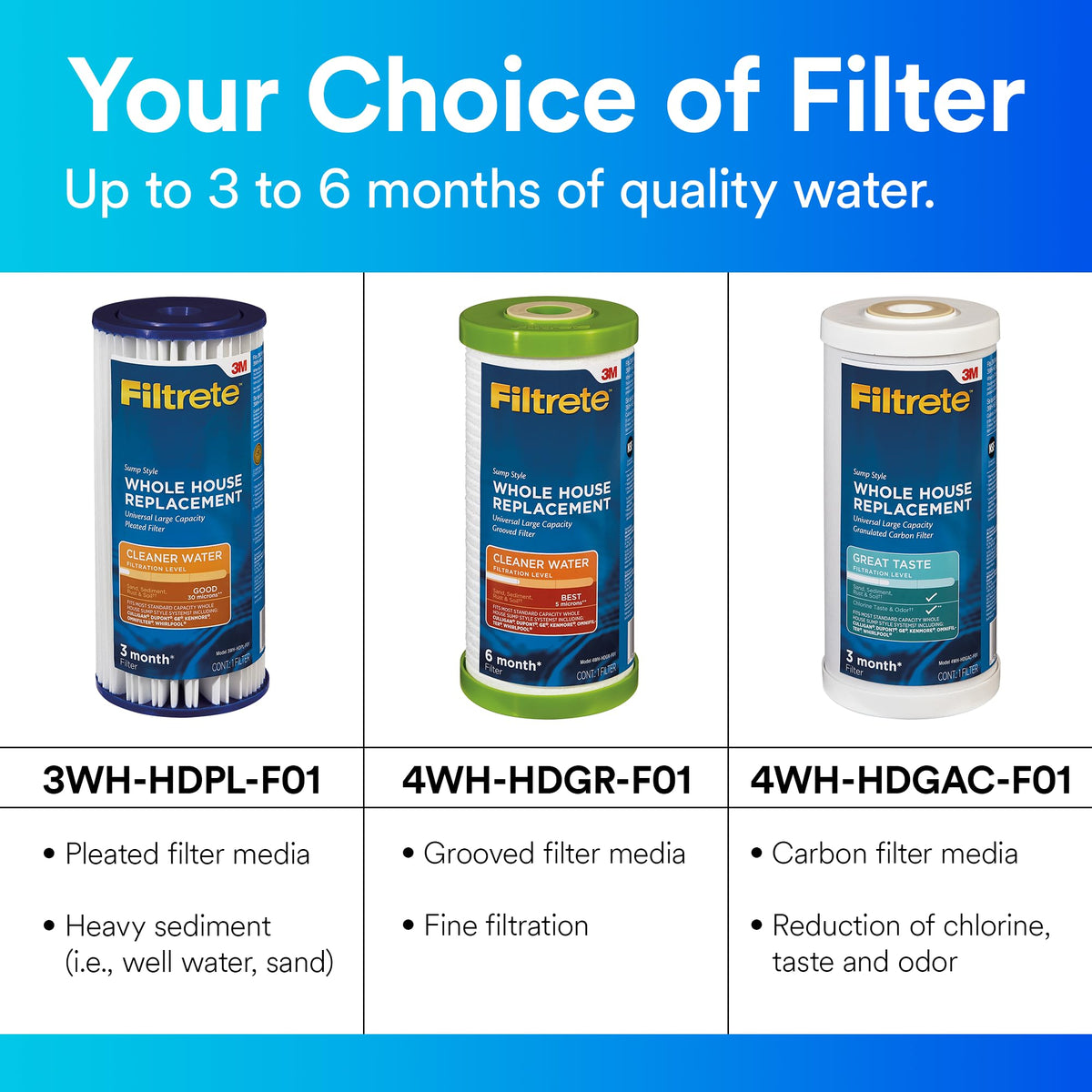 Large Capacity Carbon Whole House Filter 4WH (1 Count (Pack of 1))