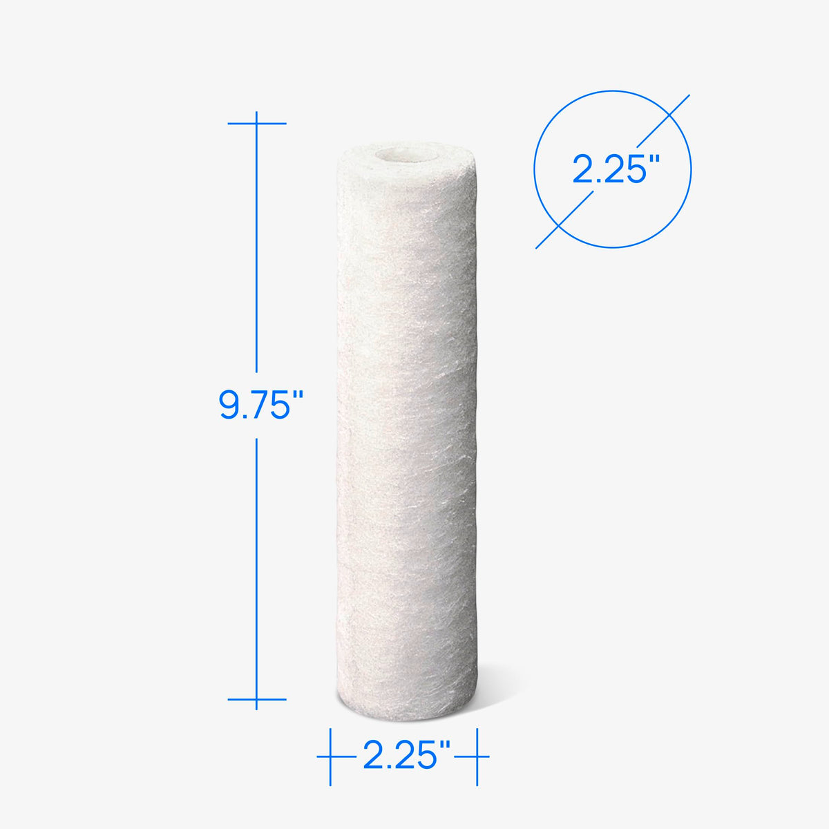 P5 Whole House Water Filter (2 Count (Pack of 1))