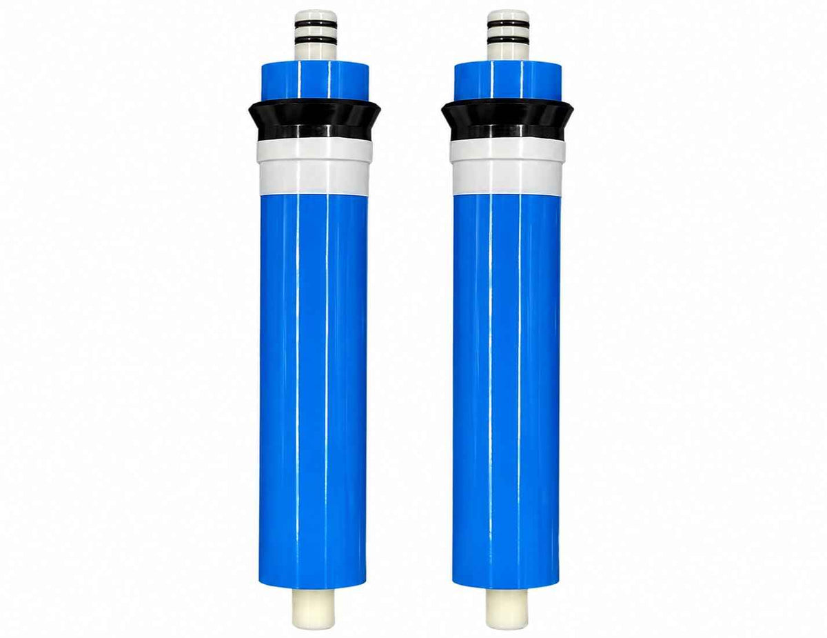 100 GPD RO Membrane for Stealth RO100 (2 Membranes, 100 GPD)