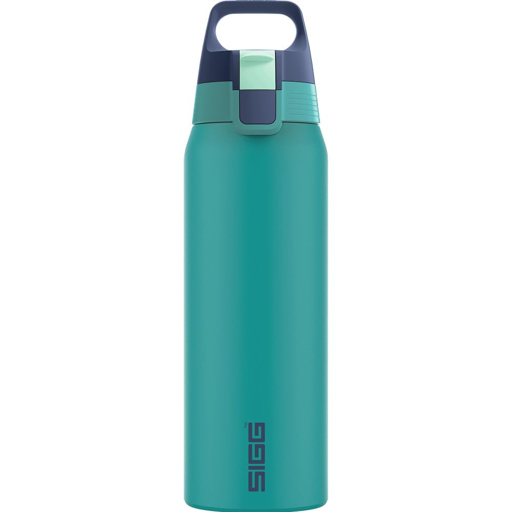 Insulated Water Bottle (Multicolor 0.75 L / Ocean)