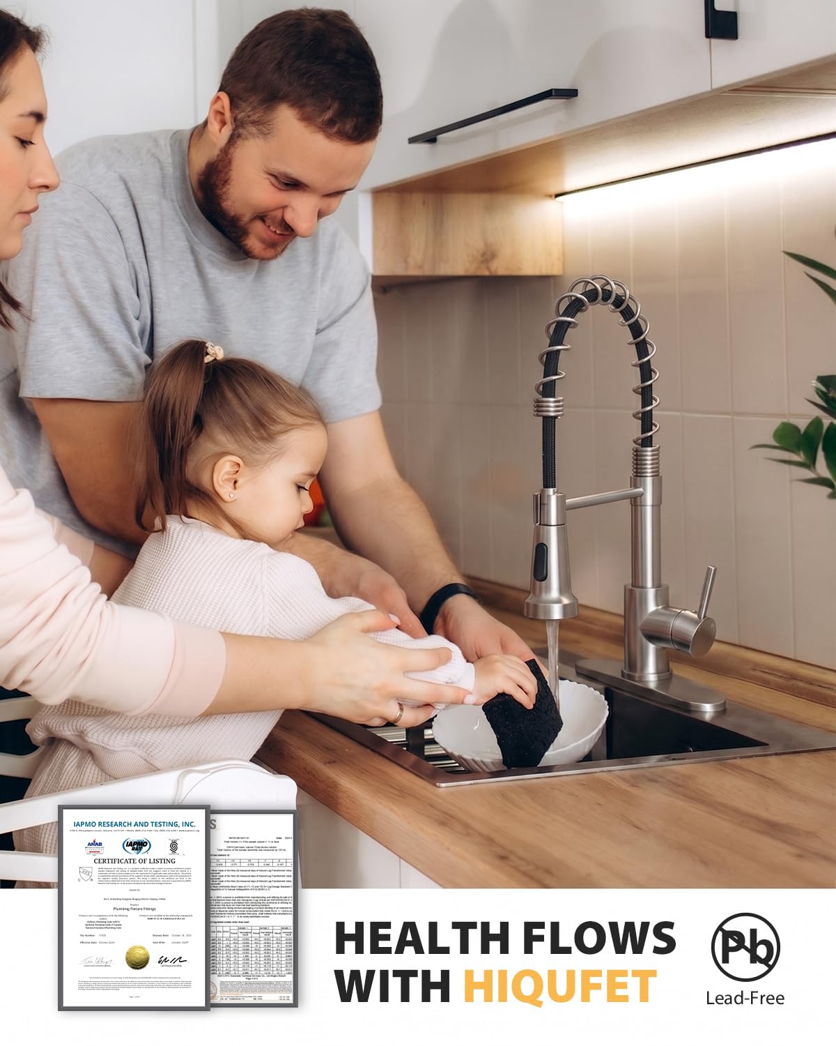 Kitchen Faucet with Pull Down Sprayer