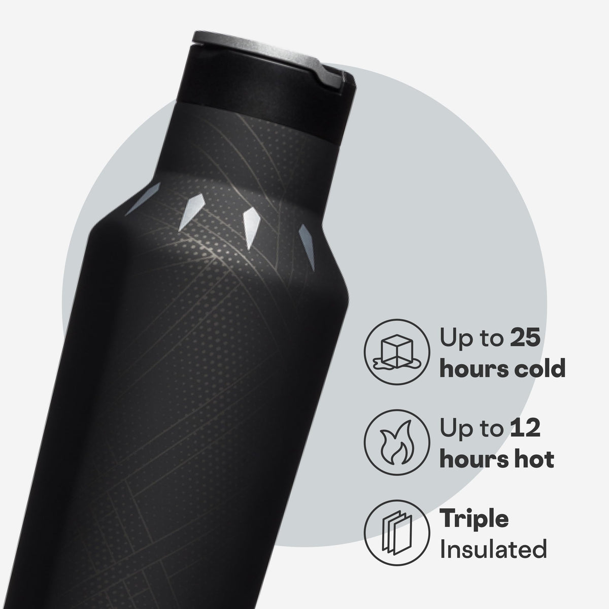 Water Bottle with Spill (Black Panther / 20 Ounces)