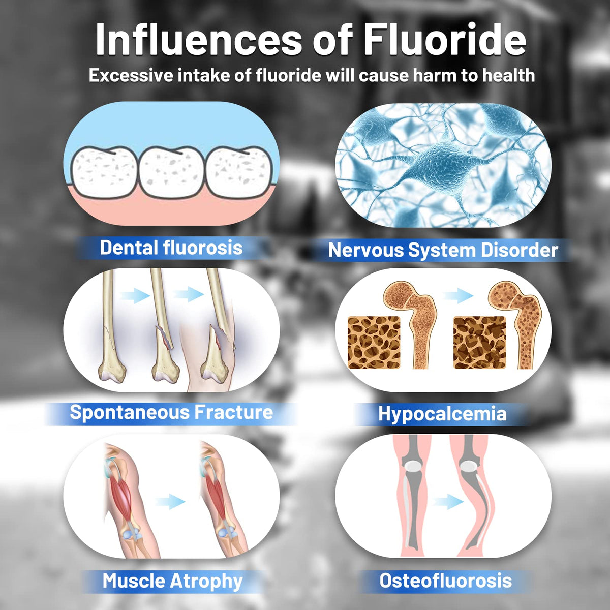 FL-2 White 5-Stage Fluoride Purification Elements, Replacement for Berlkey® PF-2® Fluoride Filters, Berlkey® Gravity Filtration System and Purewell System (2 Pack, K Series) (White)