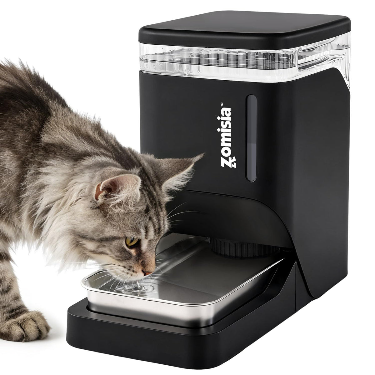 1.6 Gallon Automatic Dog Water Dispenser with Stainless Steel Bowl (Black / 6L)