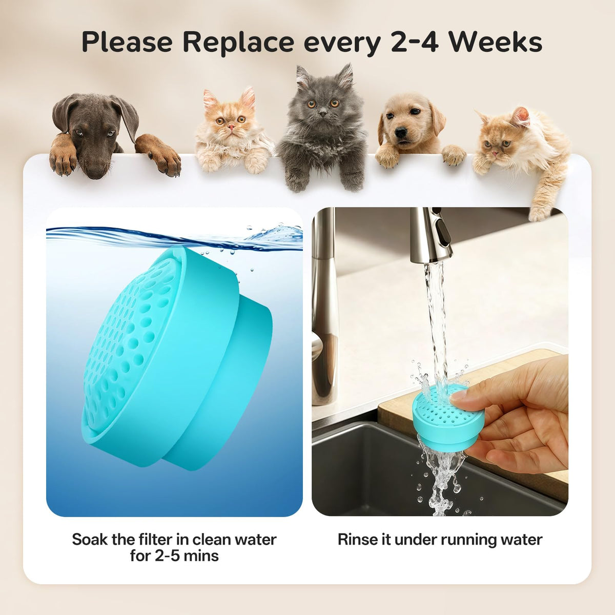 Cat Fountain Filter