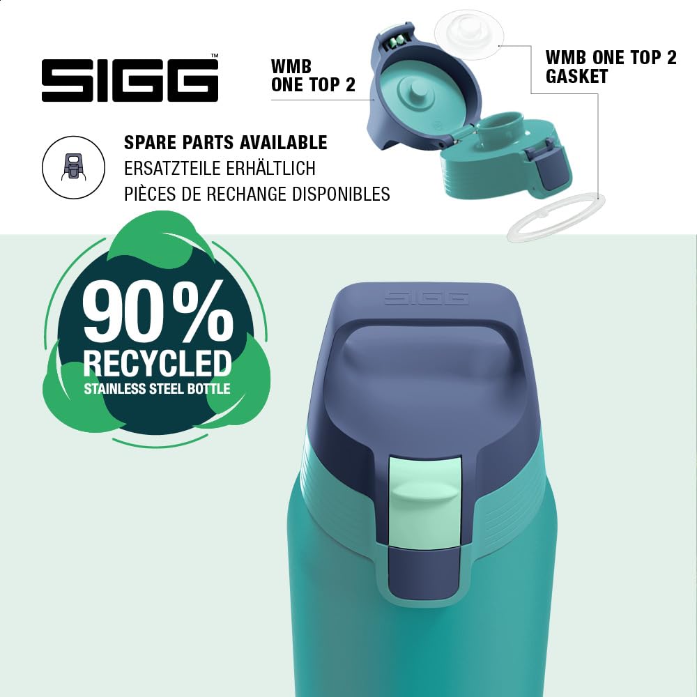 Insulated Water Bottle (Multicolor 0.75 L / Ocean)