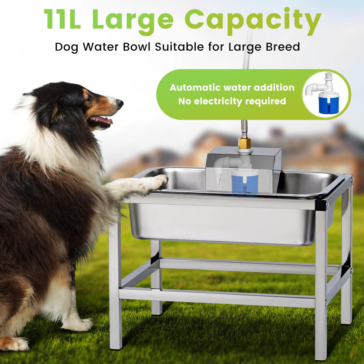 3Gal Automatic Dog Water Bowl Dispenser Large Breed Elevated Outdoor Large Dog Water Bowl with Stand Raised Stainless Auto Fill Waterer with Float Valve for Big Dogs Pets Cats Chicken Livestock (3 Gal)