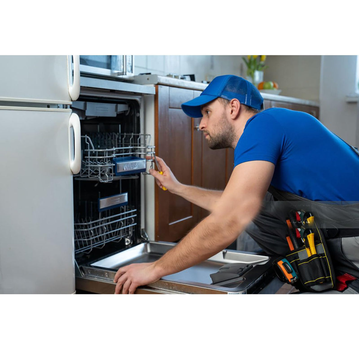 Dishwasher Screen Filter Replacesment of Sam