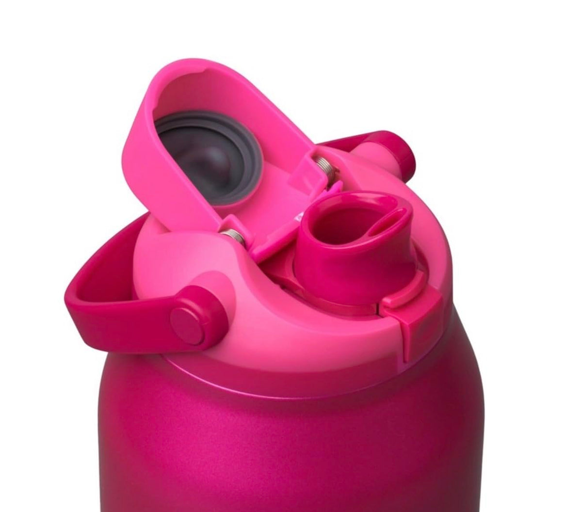 FreeSip Sway Stainless Steel Water Bottle (Read My Lips)