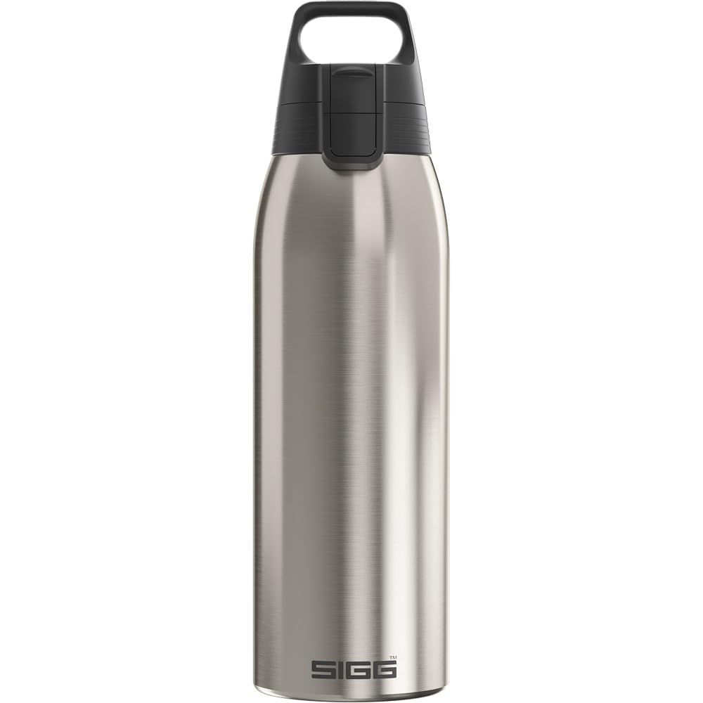 Stainless Steel Insulated Water Bottle (1.0 L / Brushed)