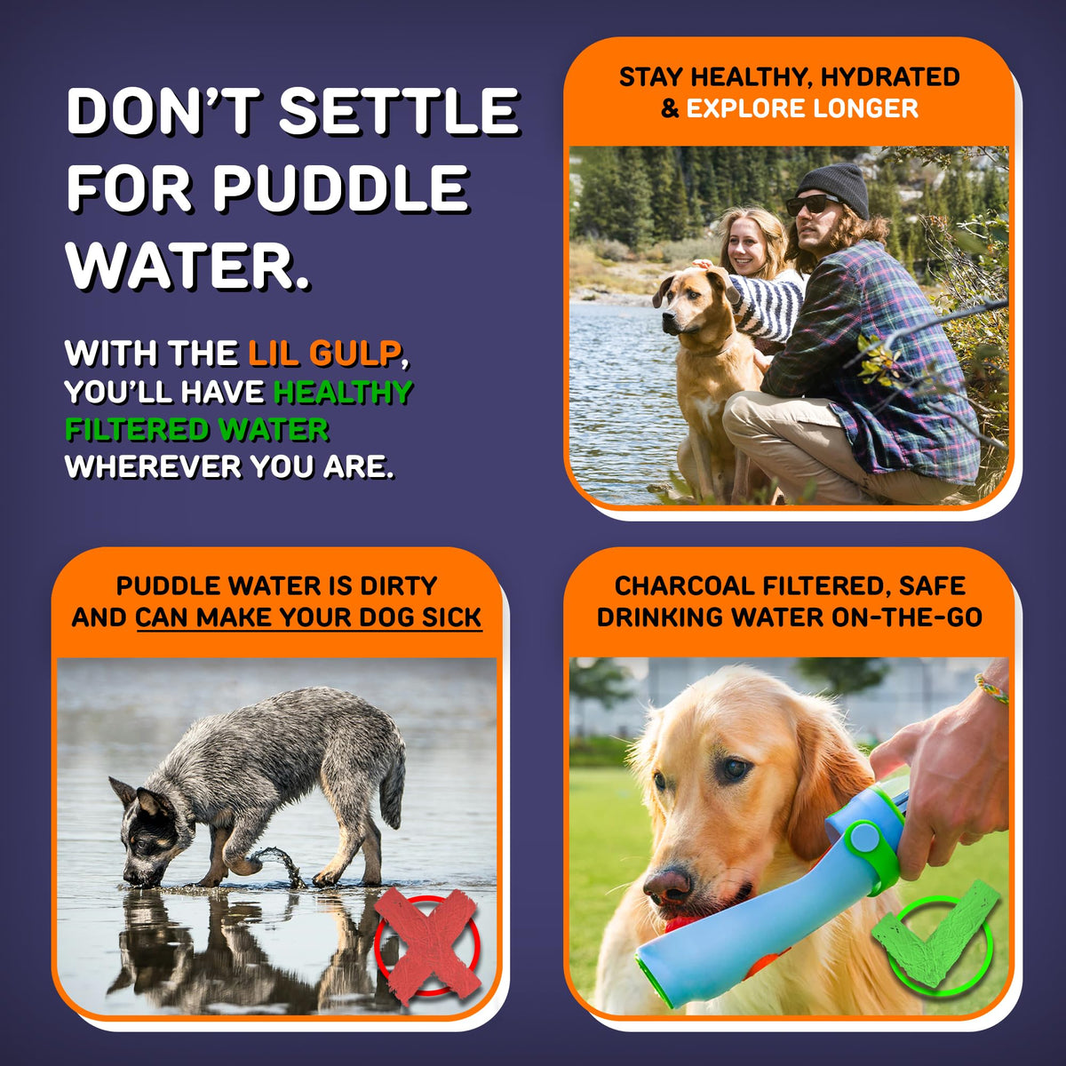 Lil Gulp Dog Water Bottle 15 Fl oz Filtered Portable Travel Bottle