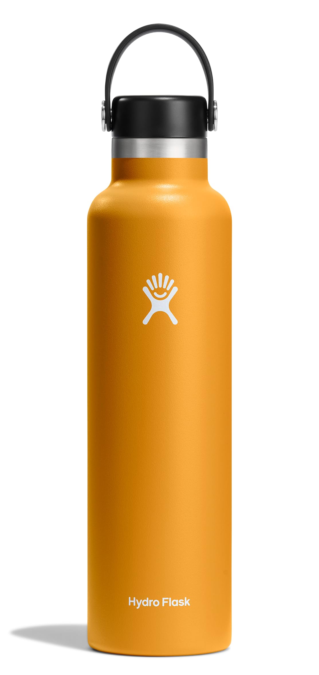 Water Bottle Insulated Stainless Steel (24 Oz / FOSSIL)