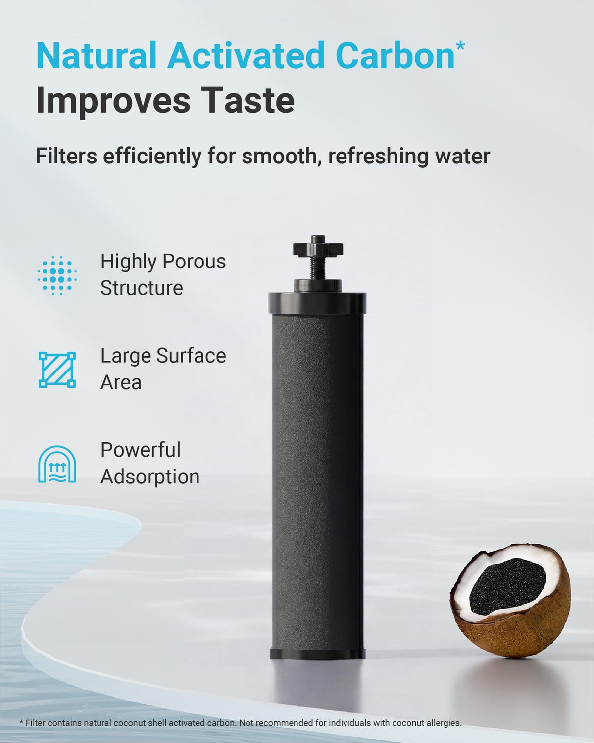 Gravity Water Filter (Black Filter)