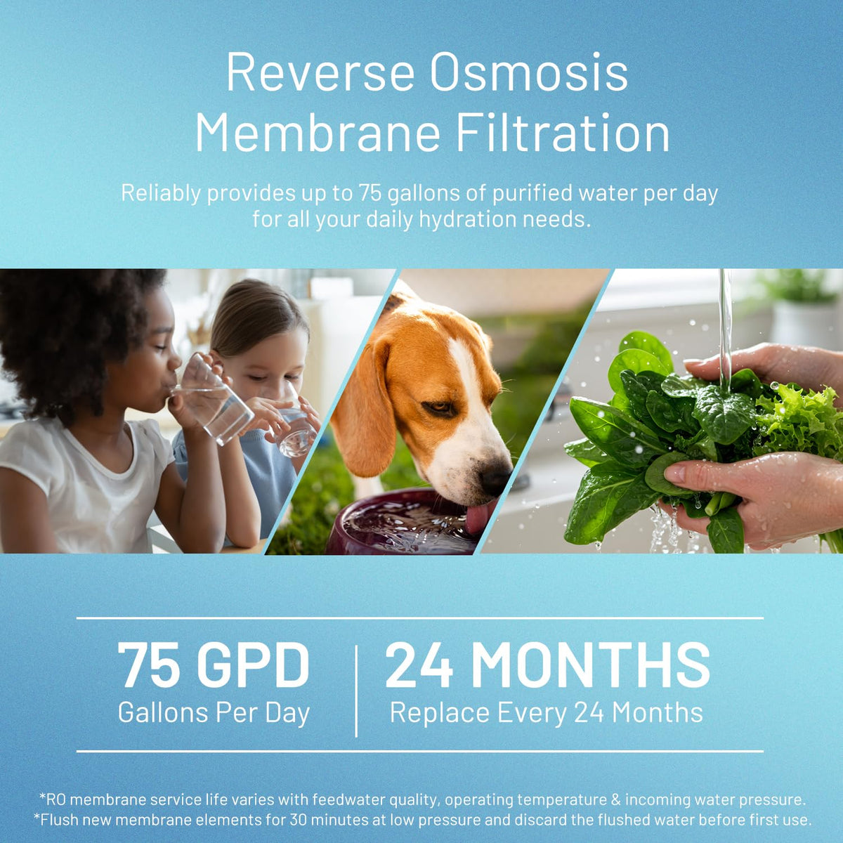 75 GPD RO Reverse Osmosis Membrane Filter Element (75G)