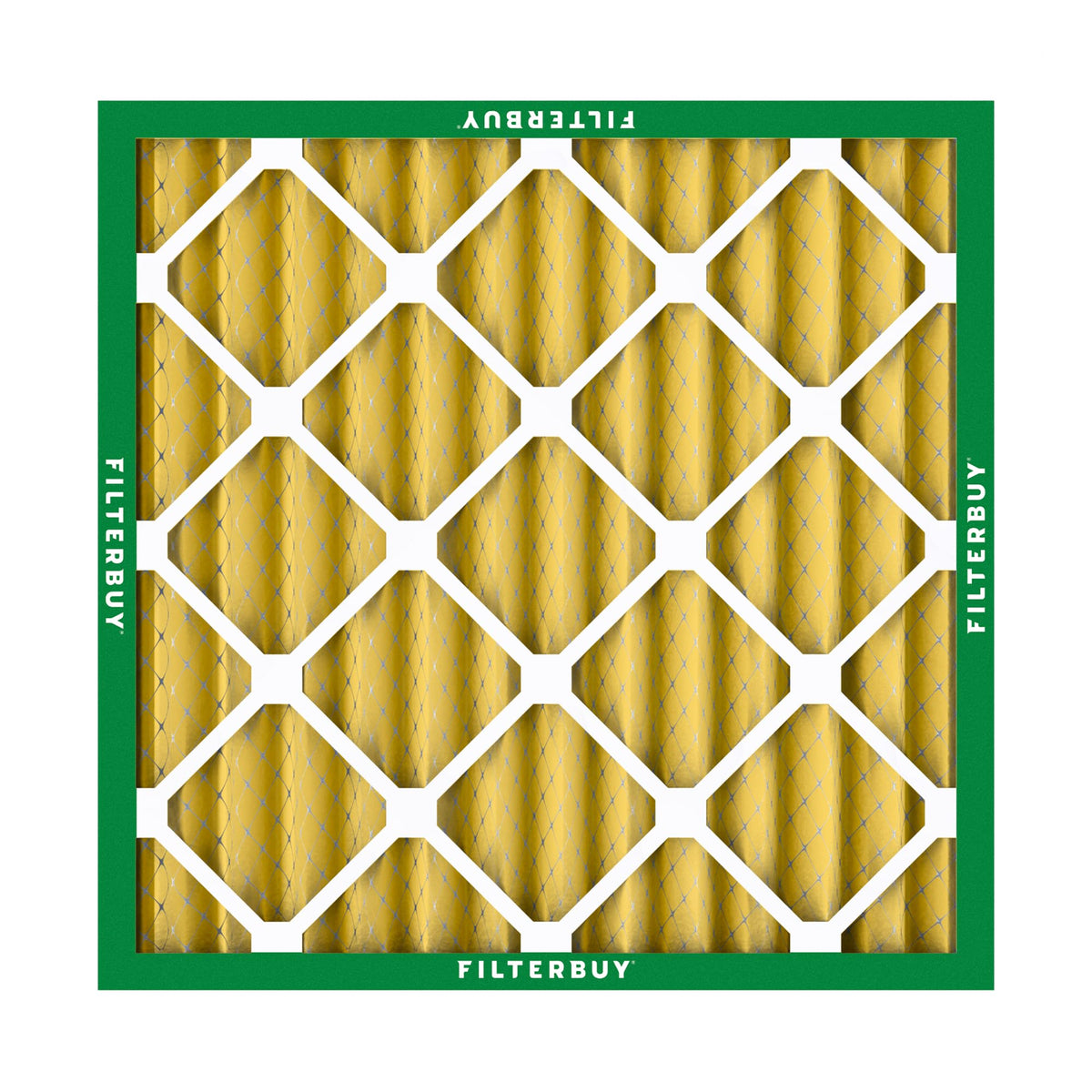 17.25x17.25x2 Air Filter MERV 11 Pet & Allergy Defense (17.25x17.25x2)