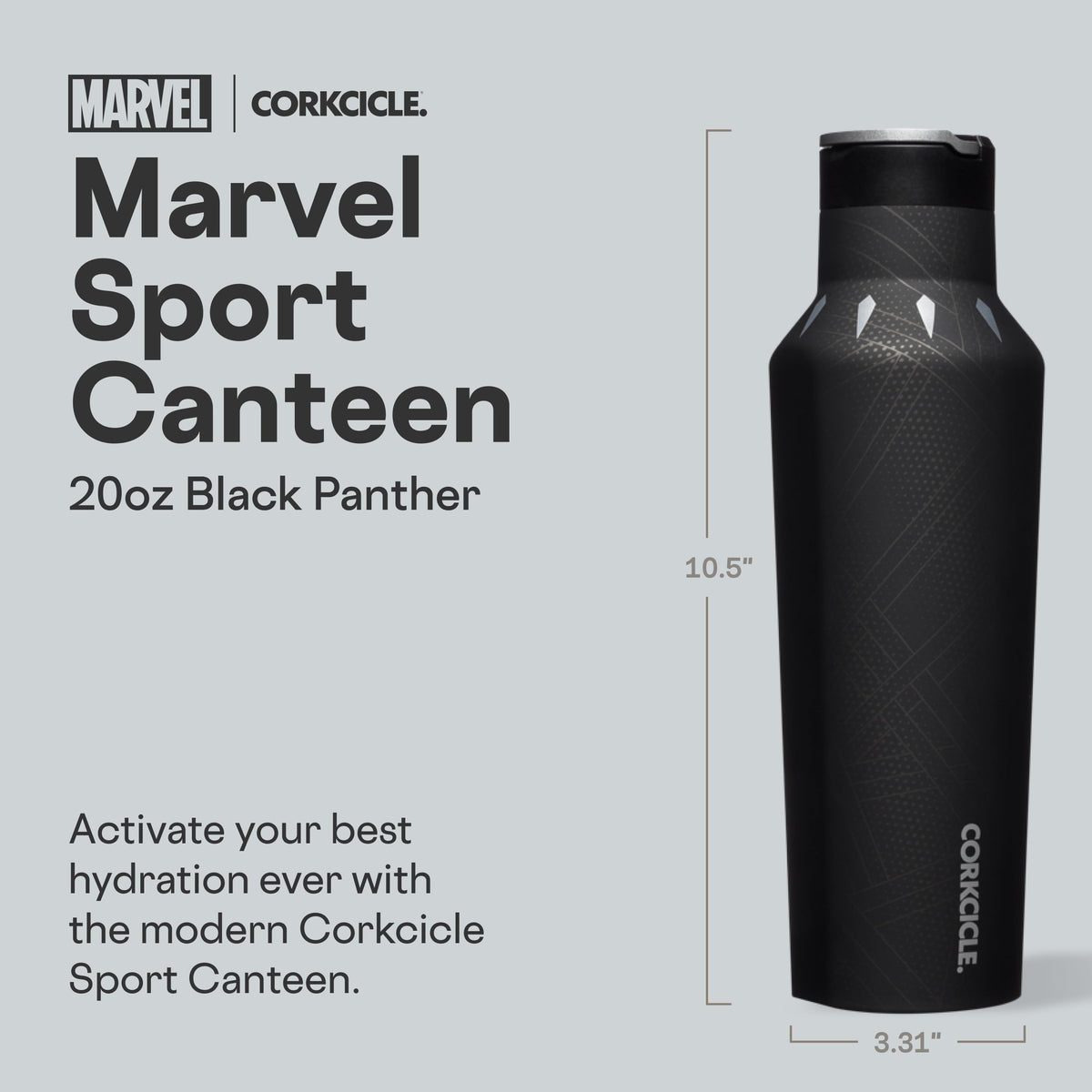 Water Bottle with Spill (Black Panther / 20 Ounces)