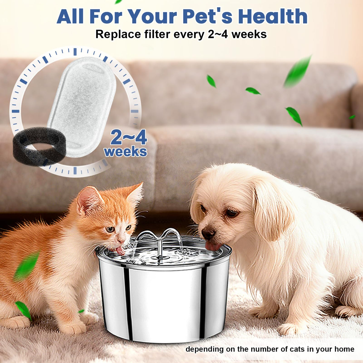Cat Water Fountain Filter Replacement