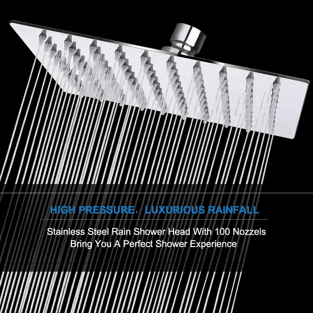 Shower Head with Hose (Chrome Finish / 8 Inch)