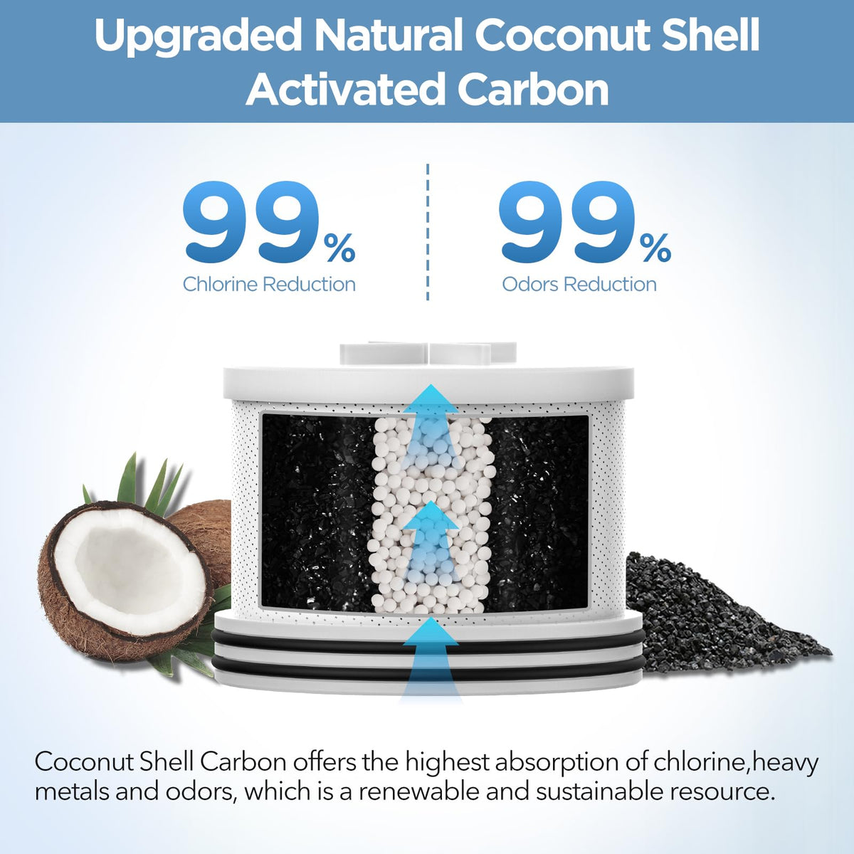 Filtered Shower Head with Upgraded Activated Carbon Filter (Brushed Nickel (Carbon Filter))
