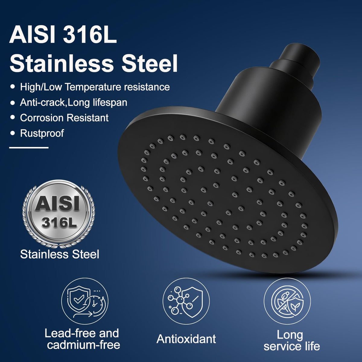 Filtered Shower Head with Filters (Black)