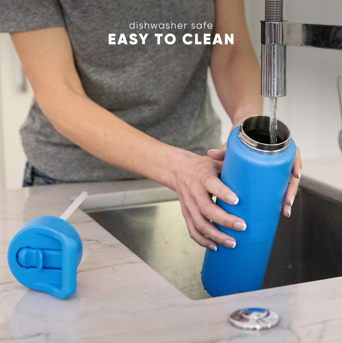 Insulated Water Bottle with Straw (22oz / Fig Jam (Pack of 1))