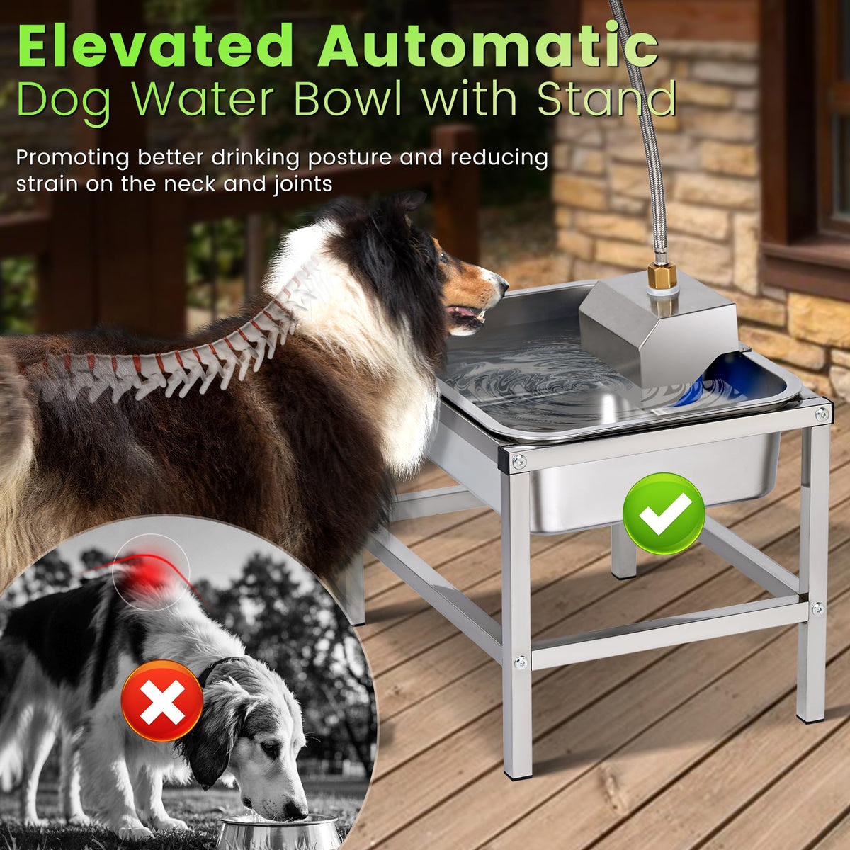 3Gal Automatic Dog Water Bowl Dispenser Large Breed Elevated Outdoor Large Dog Water Bowl with Stand Raised Stainless Auto Fill Waterer with Float Valve for Big Dogs Pets Cats Chicken Livestock (3 Gal)