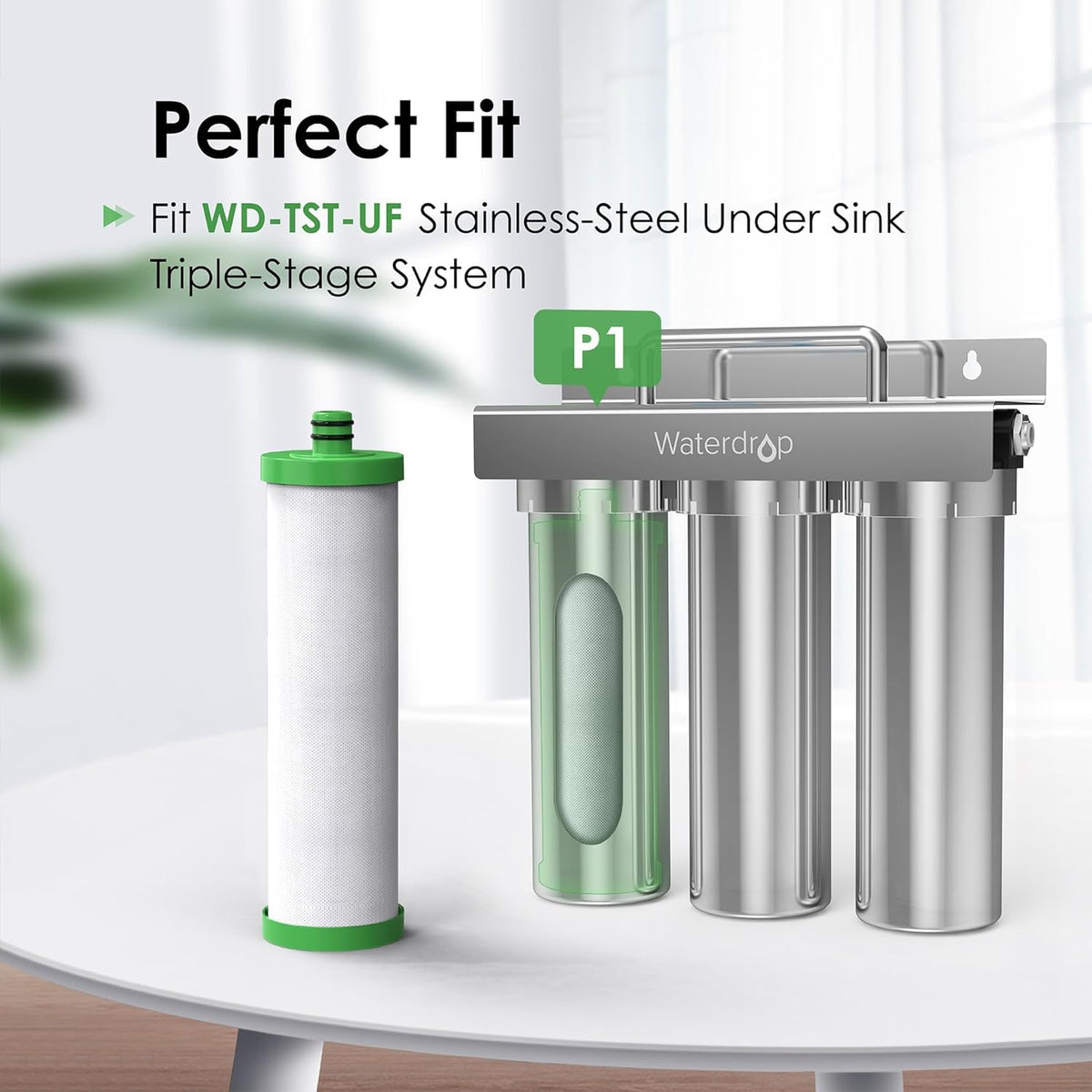 P1 Water Filter Replacement for TST
