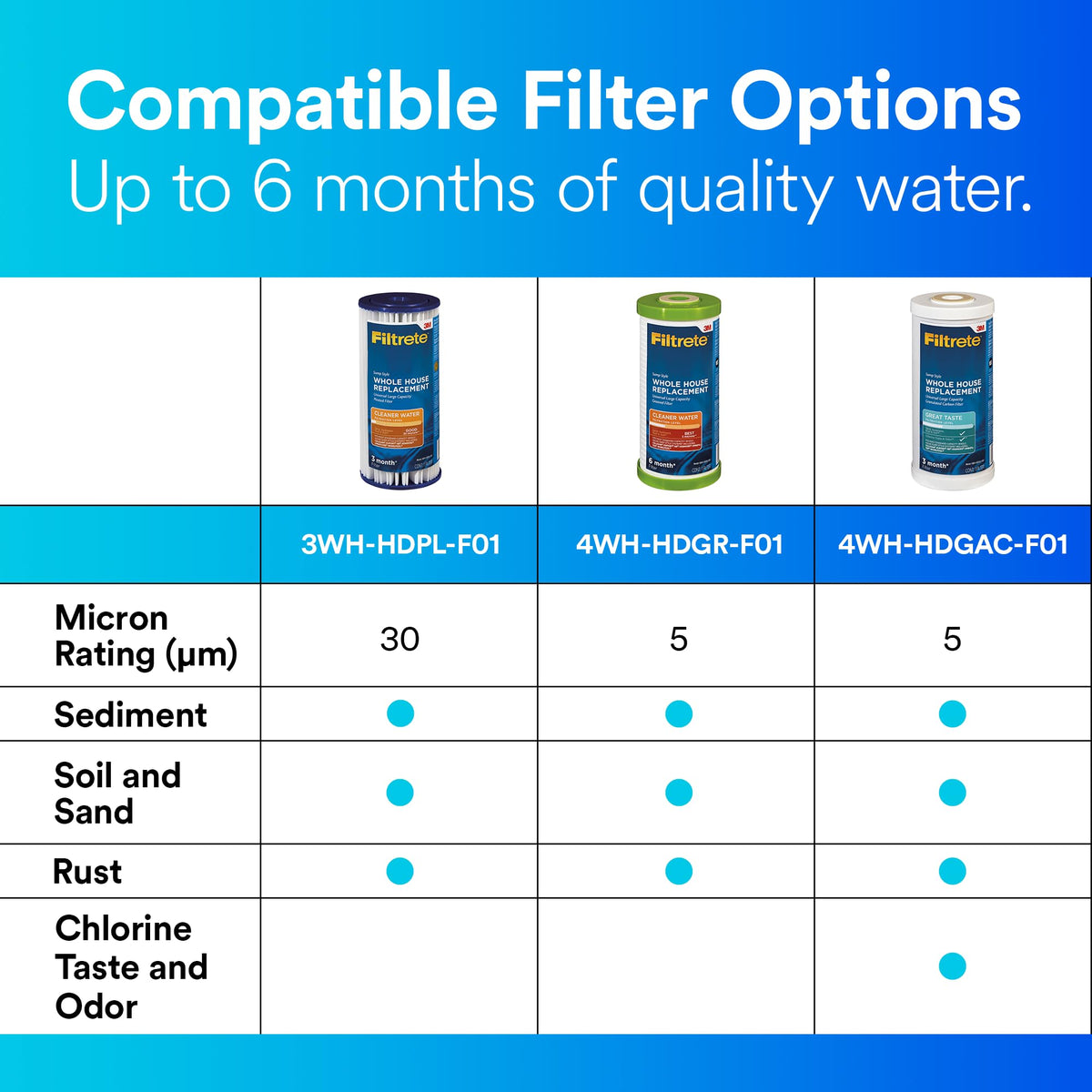 Large Capacity Carbon Whole House Filter 4WH (1 Count (Pack of 1))