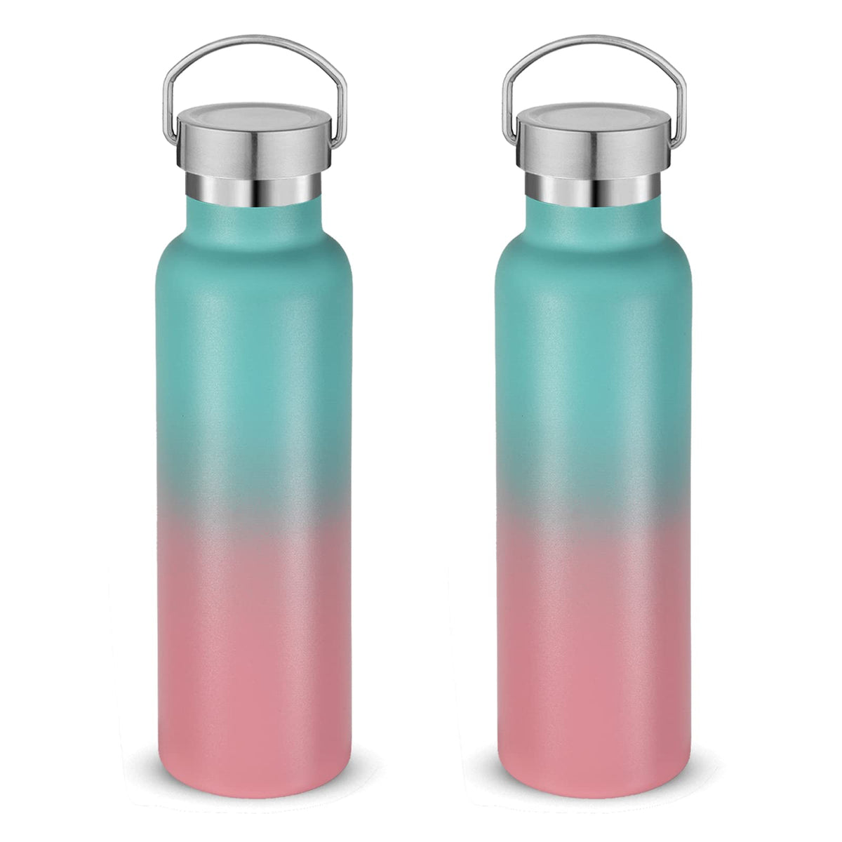 20 Ounce Insulated Stainless Steel Water Bottle (Bubble Gum)