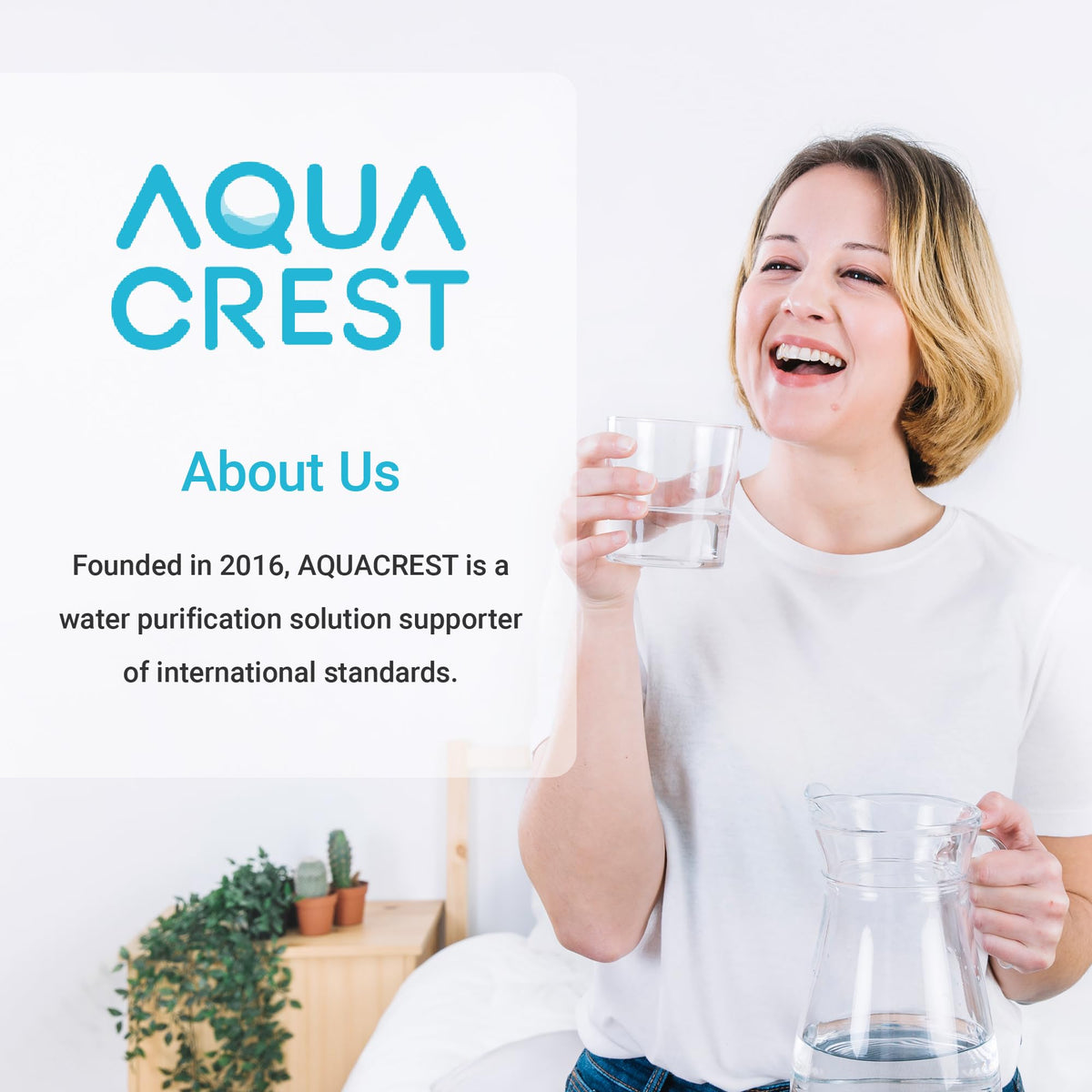 PF AL Alkaline Water Filter Replacement for Waterdrop® Pitchers (Alkaline-Blue / 2 Count)